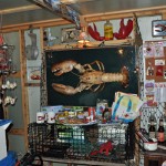 Inside The Lobstah Shack, Lots of Accessories Available